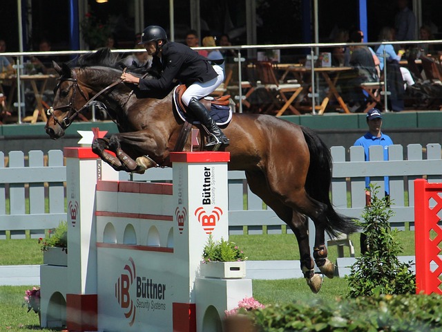 而是艰辛努 而是艰辛努