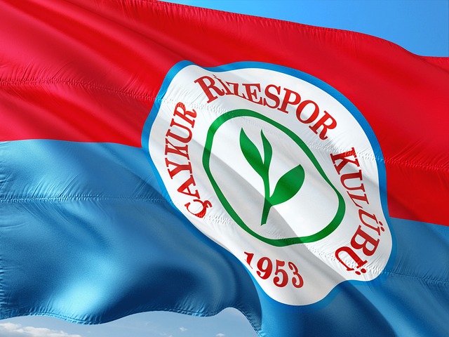 詹姆斯复出17+6+4 莱契奇34+8+6湖人31分负公牛.