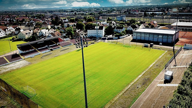 足球市場的 足球市場的