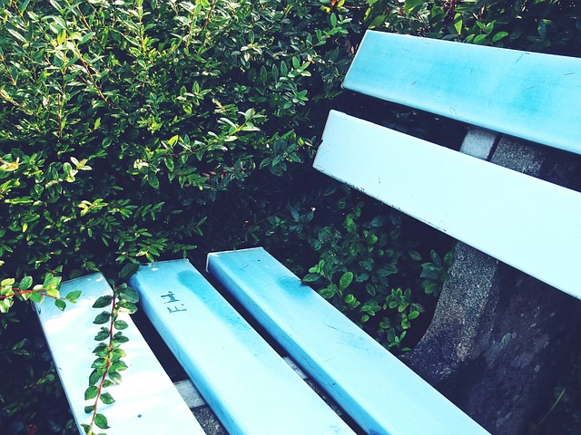 滑世锦赛在 滑世锦赛在