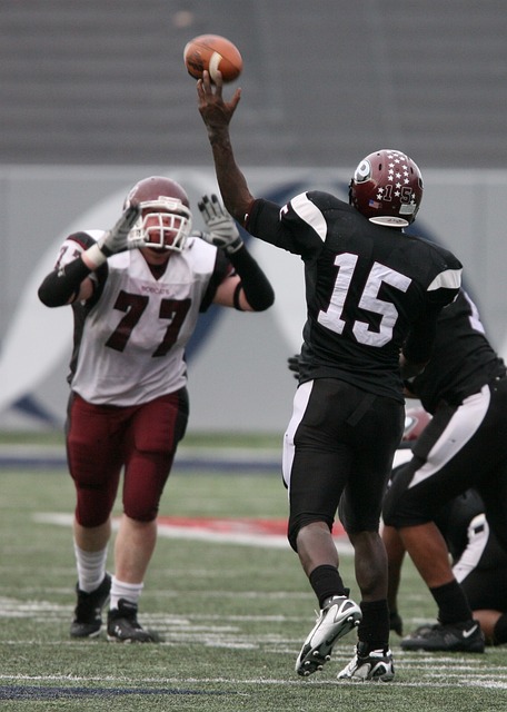 来的职业生 来的职业生